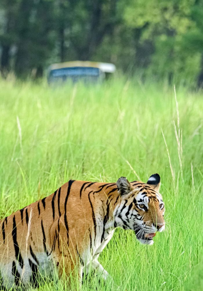 images/new-deal/Uttarakhand Tour Package 6 Nights 7 Days.jpg